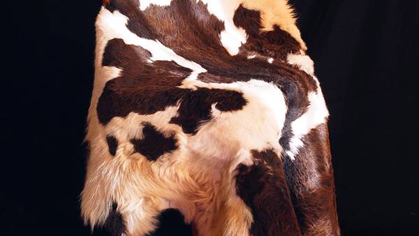 Leather Work (Hamedan)